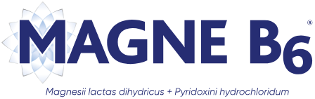 Magneb6 Logo 