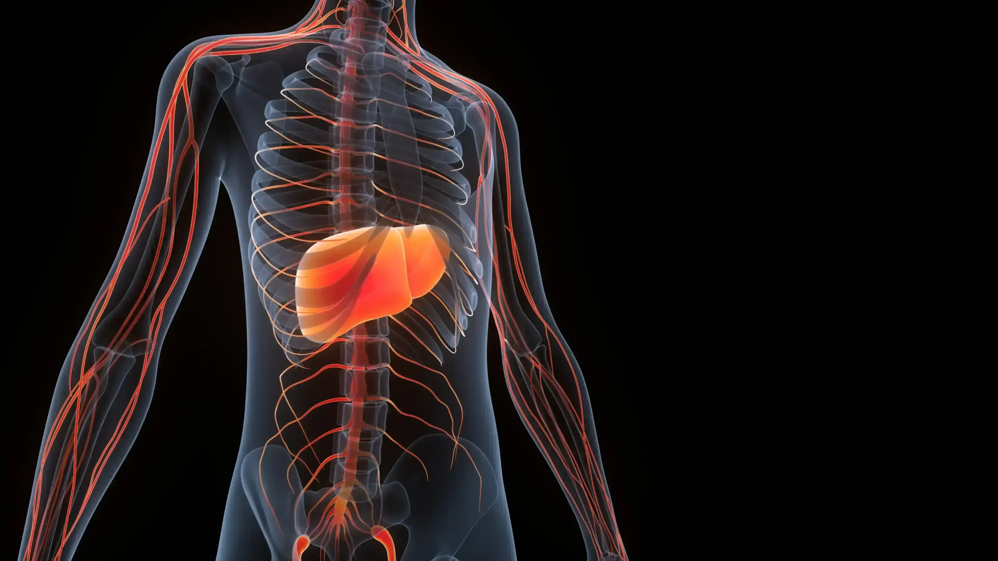 intelegere si gestionare stres