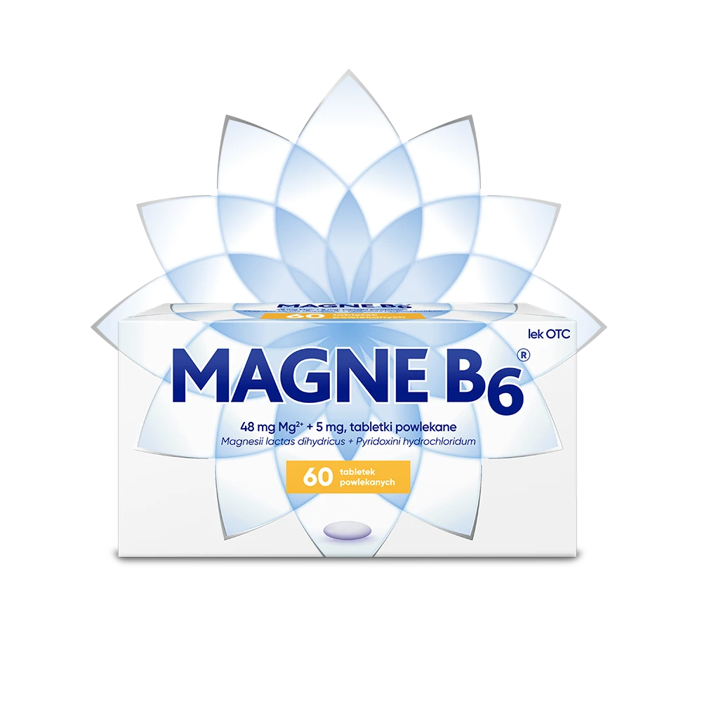 Lek Magne B6®  tabletki powlekane, 60 szt