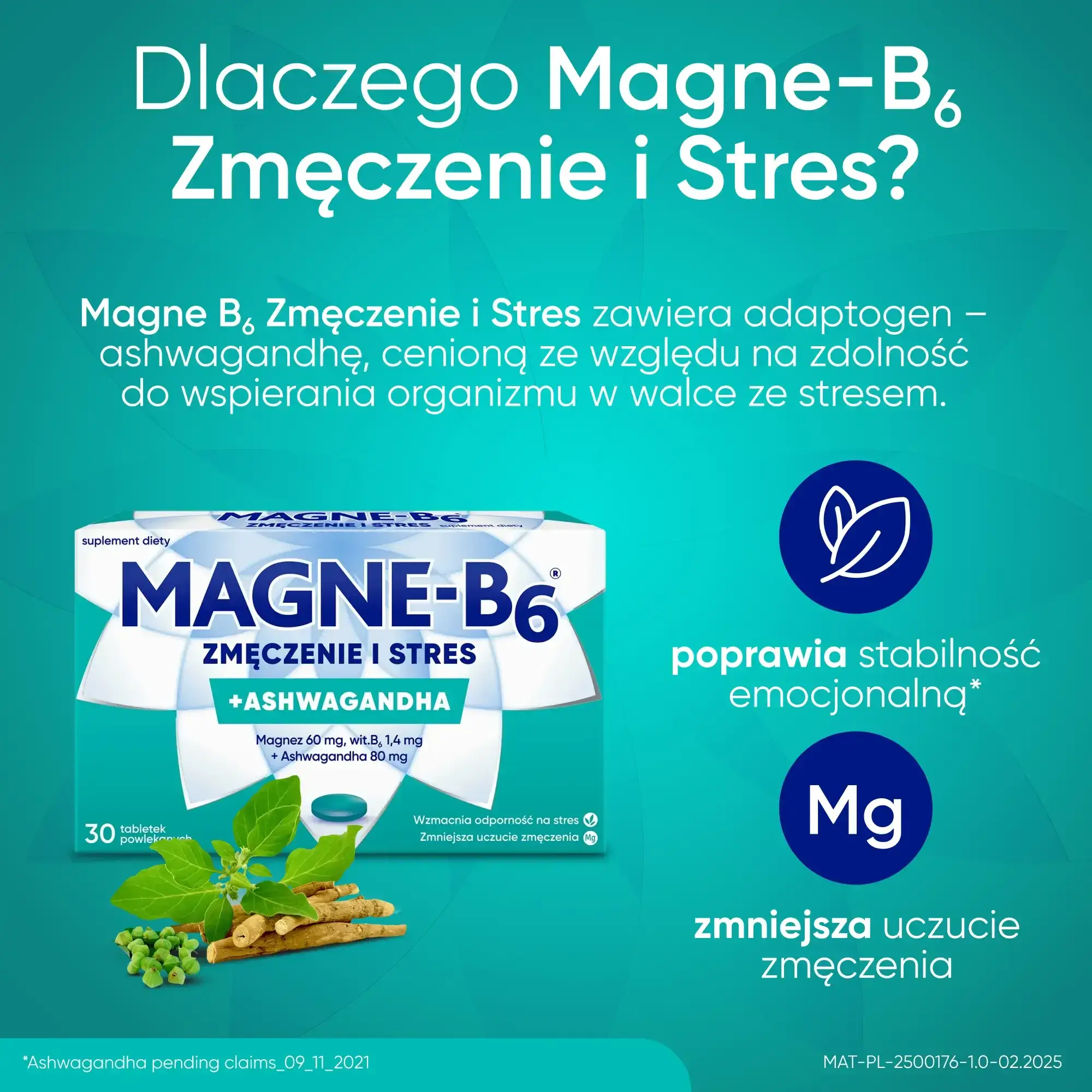 Stosowanie Magne-B6® Zmęczenie i Stres
