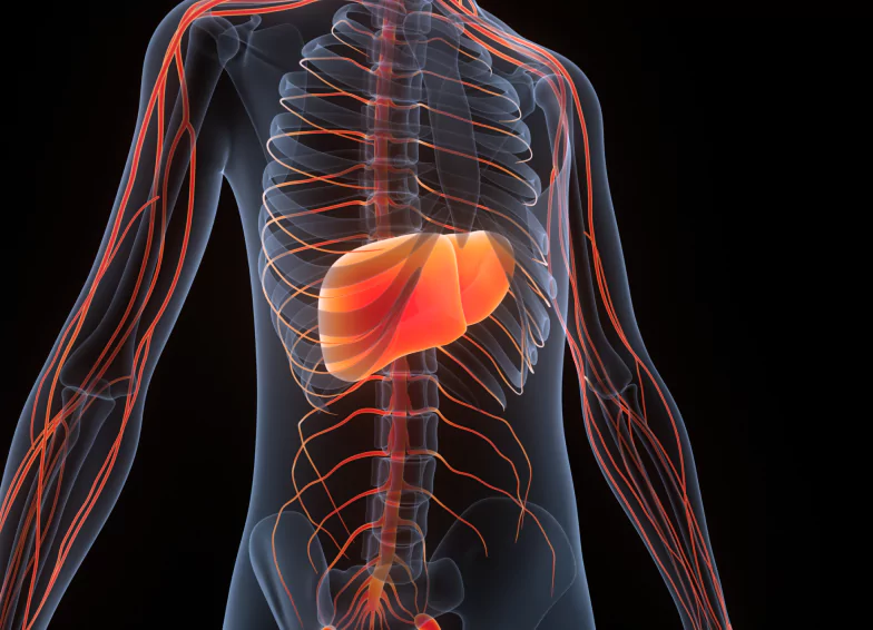 A magnézium idegrendszer támogató hatása